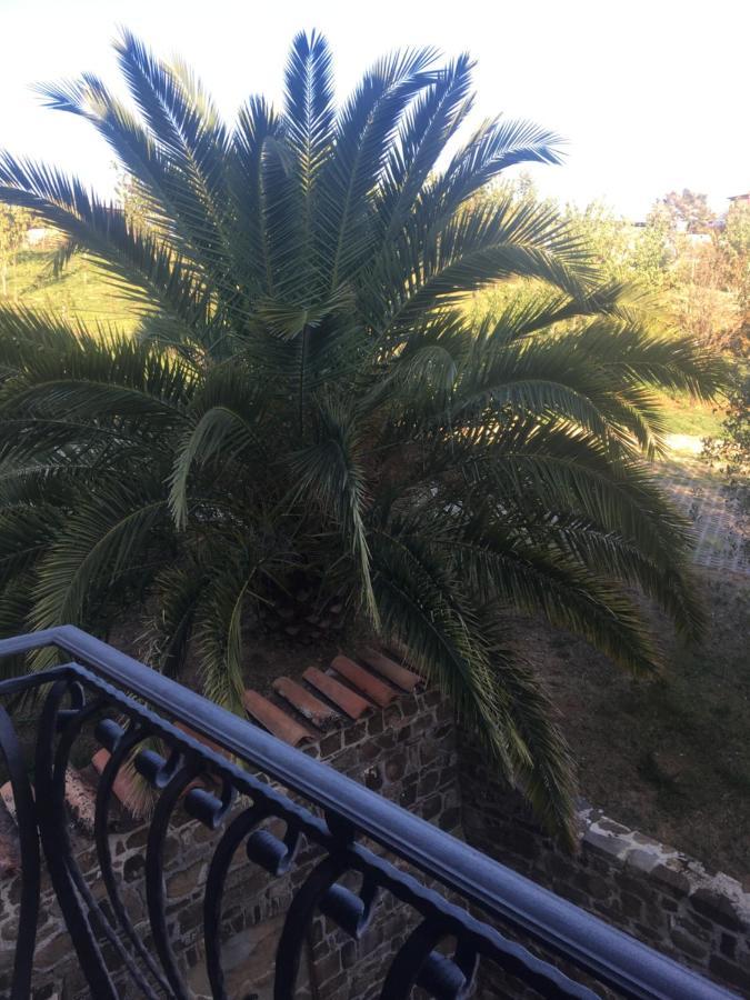 La Ginestra Ξενοδοχείο Castel San Lorenzo Εξωτερικό φωτογραφία