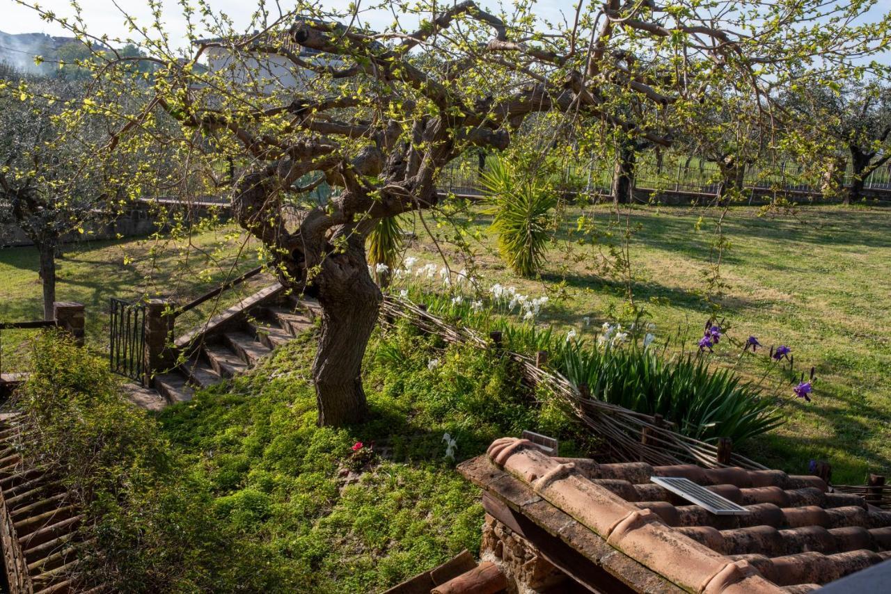 La Ginestra Ξενοδοχείο Castel San Lorenzo Εξωτερικό φωτογραφία