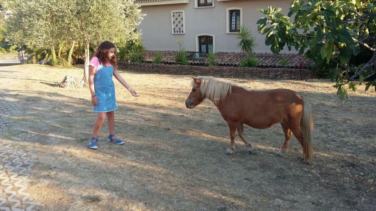 La Ginestra Ξενοδοχείο Castel San Lorenzo Εξωτερικό φωτογραφία