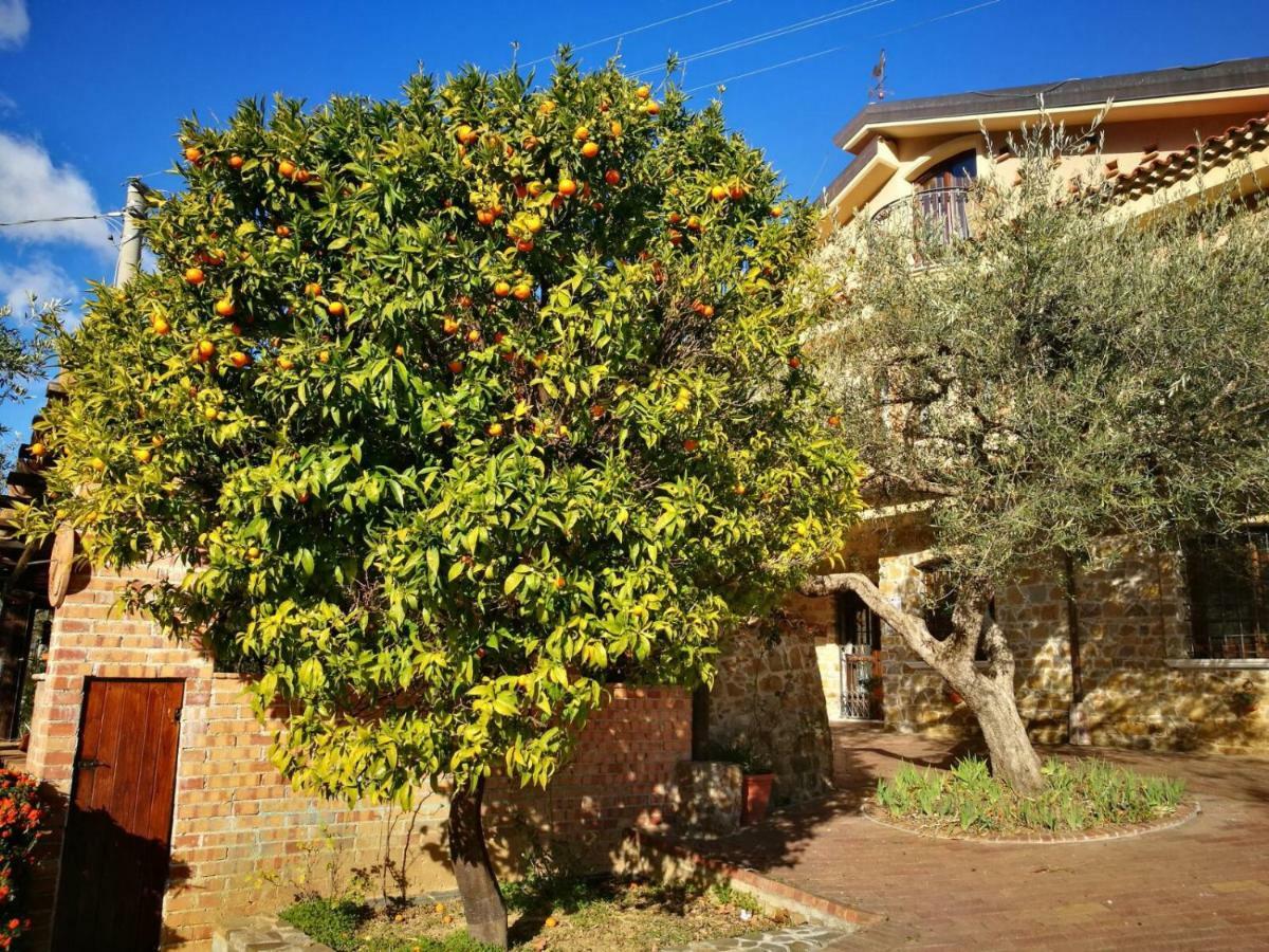 La Ginestra Ξενοδοχείο Castel San Lorenzo Εξωτερικό φωτογραφία